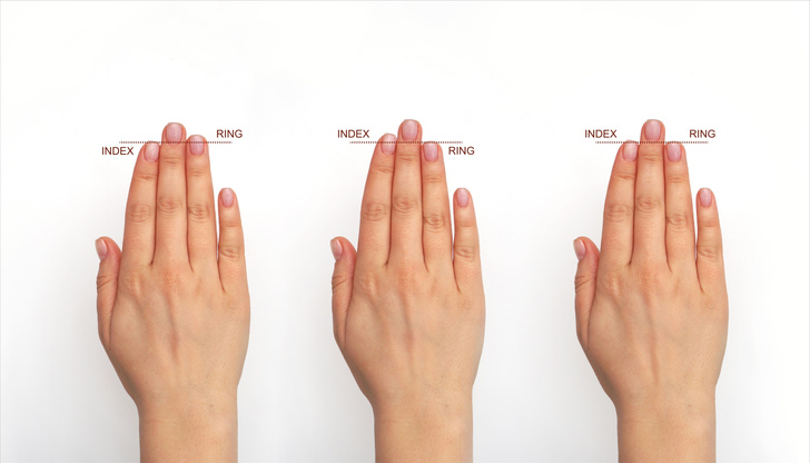 Как по длине одного пальца определить, сколько вы проживете