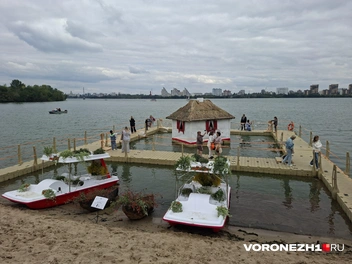 Источник: Алёна Воропаева / Voronezh1.ru