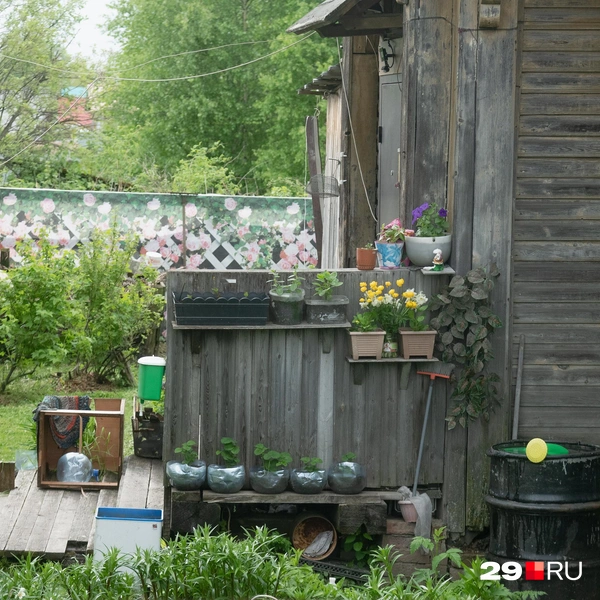 Источник: Иван Митюшёв / 29.RU 