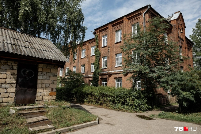 Многие участки вокруг домов ограждены живыми изгородями | Источник: Александр Куренной / 76.RU