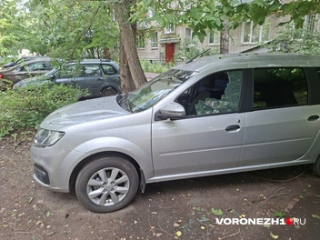 Источник: Алёна Воропаева / Voronezh1.ru