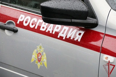 Росгвардейцы задержали двоих подозреваемых в кражах