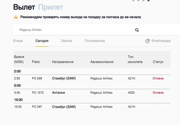 Ситуация с рейсами Pegasus Airlines в Пулково, 2 сентября | Источник: pulkovoairport.ru