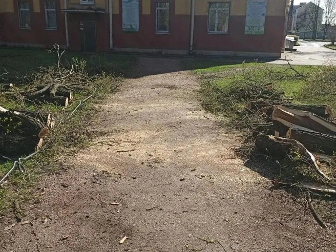Источник: Комитет по благоустройству Санкт‑Петербурга