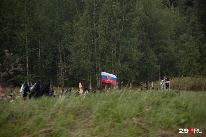 Источник: Иван Митюшёв / 29.RU