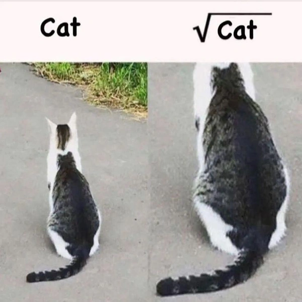 Источник: Соцсети