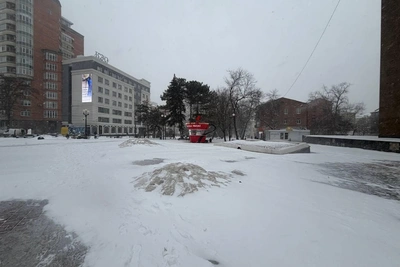 Ростовчане иронизируют из-за неубранного снега