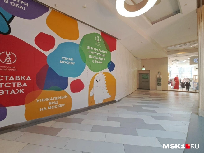 Источник: Арина Майорова / MSK1.RU