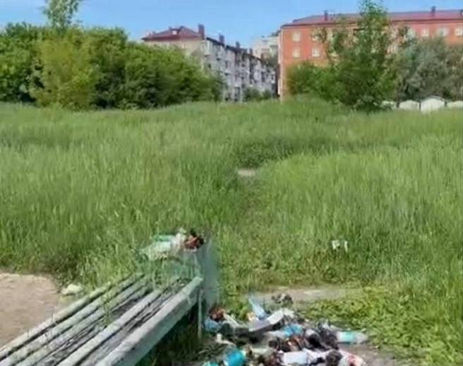 Футбольное поле заросло травой | Источник: «Новости Омск | Жесть» / t.me