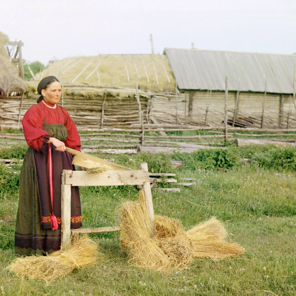 Крестьянка рвет лен. Пермская губерния. 1910 год | Источник: Сергей Прокудин-Горский, 3dplatforma.ru