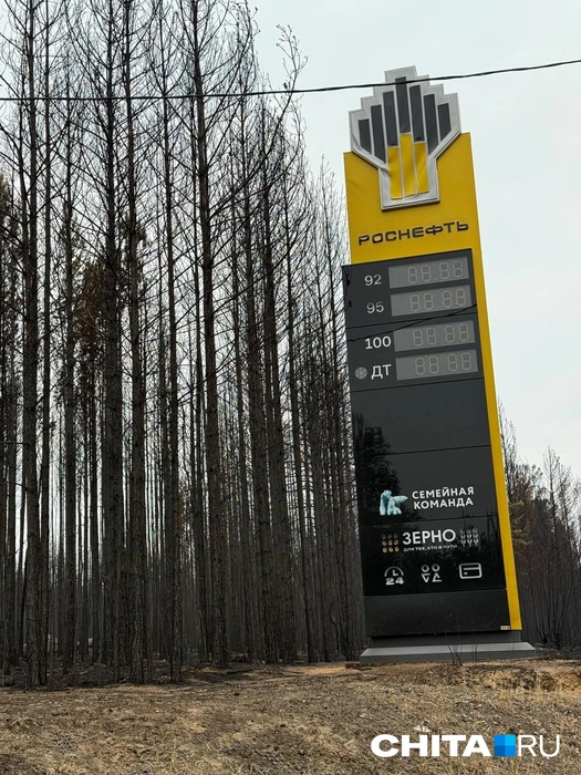 Огонь подобрался к заправке вплотную | Источник: Екатерина Шайтанова / CHITA.RU