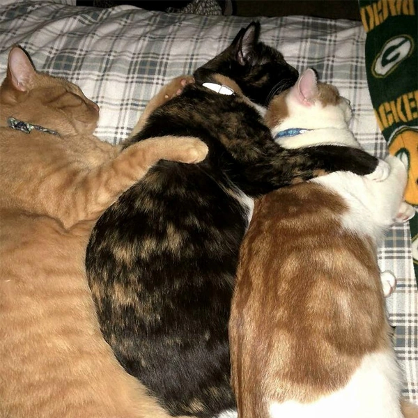 Источник: соцсеть