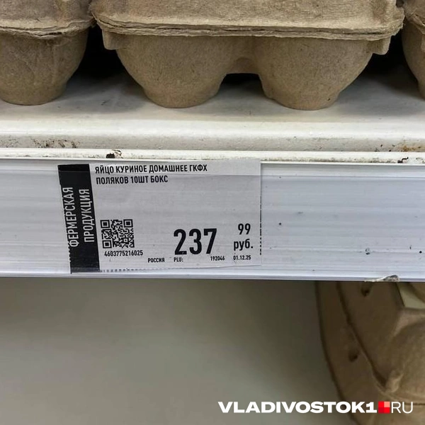 Источник: Елена Буйвол / VLADIVOSTOK1.RU