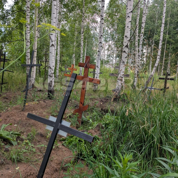 Источник: NGS42.RU