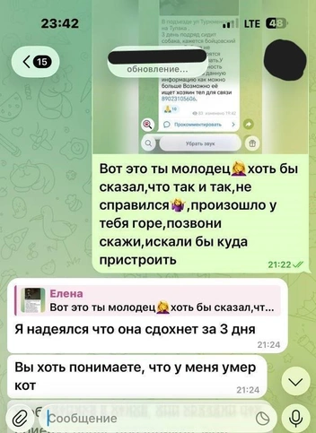 Так категорично ответил владелец собаки на одно из многочисленных сообщений | Источник: читатели V1.RU