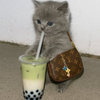 userpic__Кошечка мяу