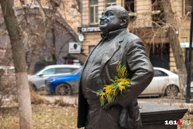 Источник: Евгений Вдовин / 161.RU