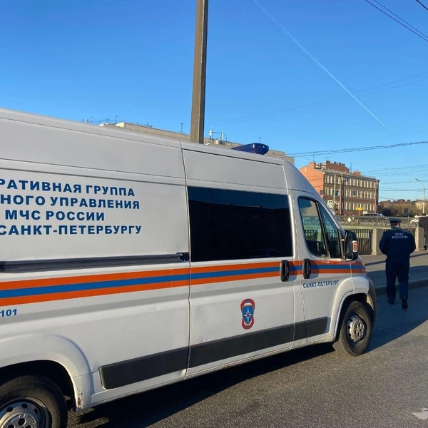 Источник: ГУ МЧС по Петербургу