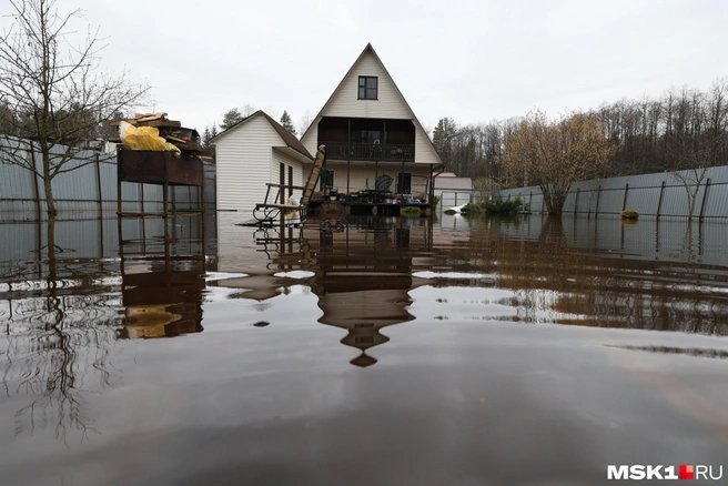 Грядок под водой не видно | Источник: Артем Устюжанин / MSK1.RU