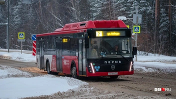 В Кировском районе Перми автобусы «АААвто» ездят по маршрутам № 2, 60 и 80 | Источник: Владимир Зыкин