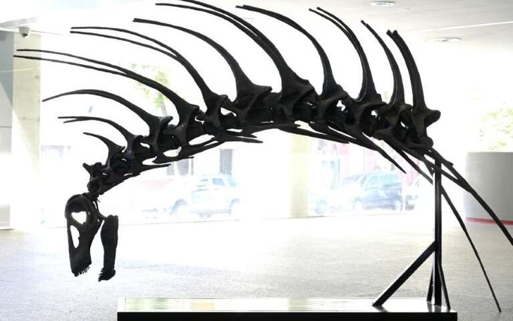 В Аргентине нашли останки динозавра с шипами на шее
