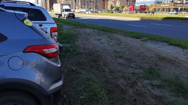 Грязь или трава? Смольный научил петербуржцев, как отличить газон от парковки | Источник: ДТП и ЧП | Санкт-Петербург | Питер Онлайн | СПб