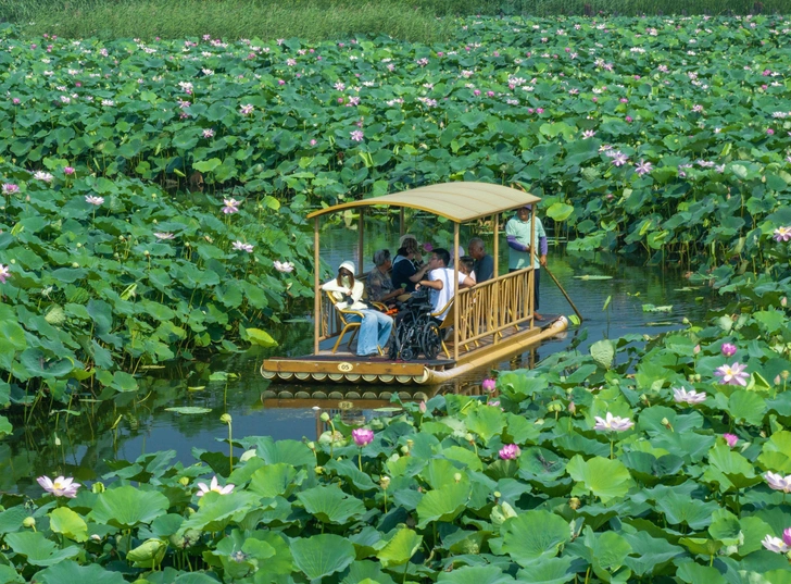 Туристы катаются на лодке, чтобы полюбоваться цветущими лотосами в живописном районе Ваньму Хэтан, в Синьхуа, город Тайчжоу, провинция Цзянсу, Китай, 6 июля 2025 года | Источник: VCG / Legion Media