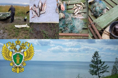 Два дела о браконьерстве возбуждены в Забайкалье