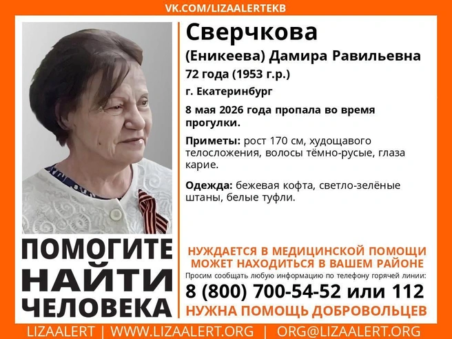 Источник: lizaalertekb / vk.com