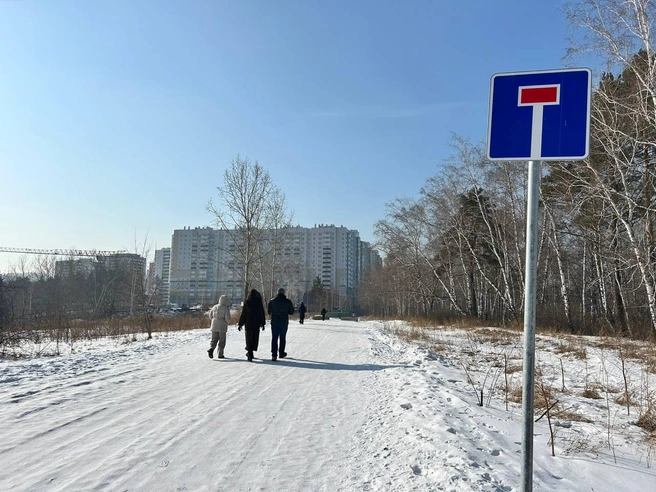 Специалисты мэрии выезжали в Ветлужанке, чтобы посмотреть, где можно проложить дорогу | Источник: «ГрадВестник» / Telegram