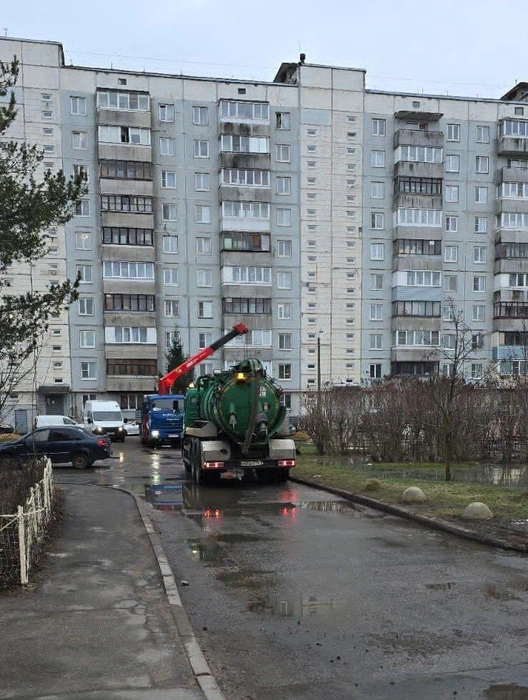 Источник: Пресс-сек Красногвардейского / Телеграм