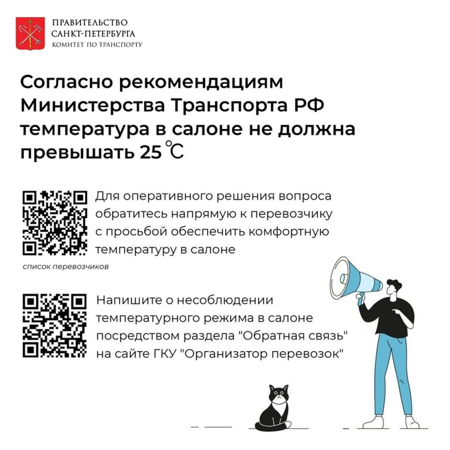 Источник: Комитет по транспорту Петербурга