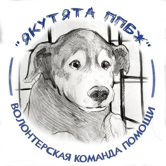 Логотип команды с тем самым псом, которого нашли живым среди мертвых | Источник: Якутята / vk.com