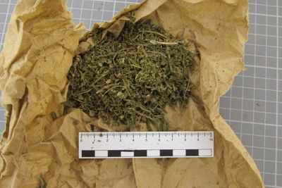 Жителей трех округов Липецкой области уличили в хранении марихуаны