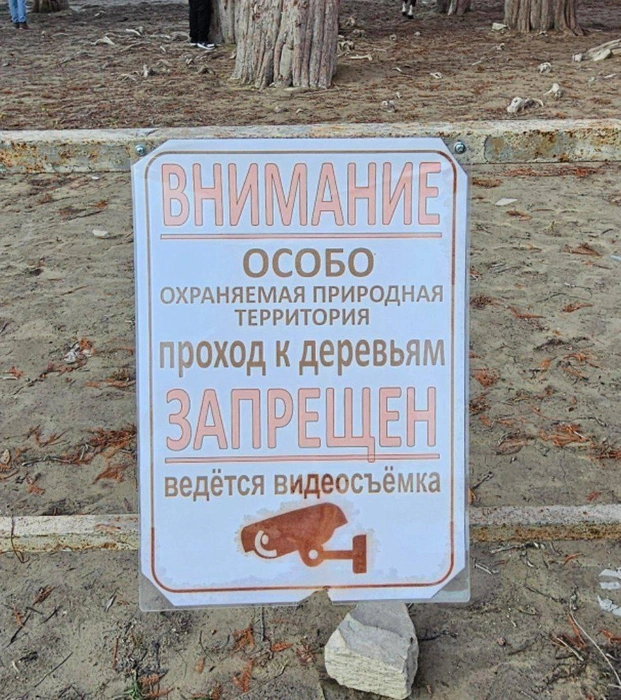 За ограждения на Кипарисовом озере нельзя заходить | Источник: pva_anapa / T.me