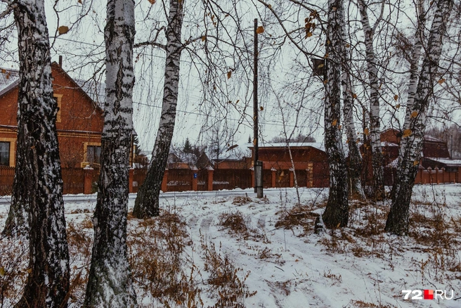 Выезжают между деревьев, возле столба | Источник: Ирина Шарова / 72.RU