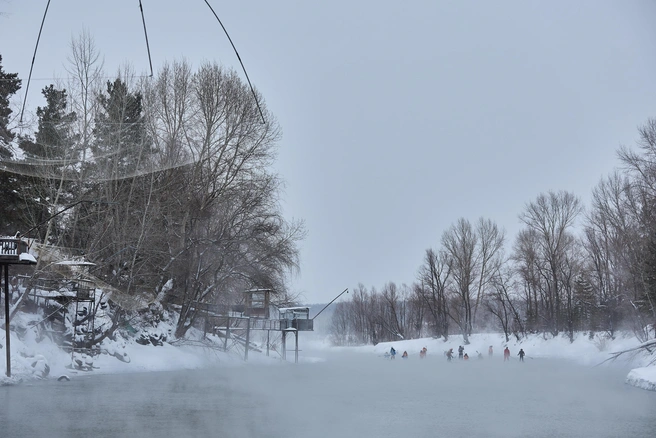 Заплыв прошел в субботу, 27 декабря  | Источник: Александр Ощепков / NGS.RU