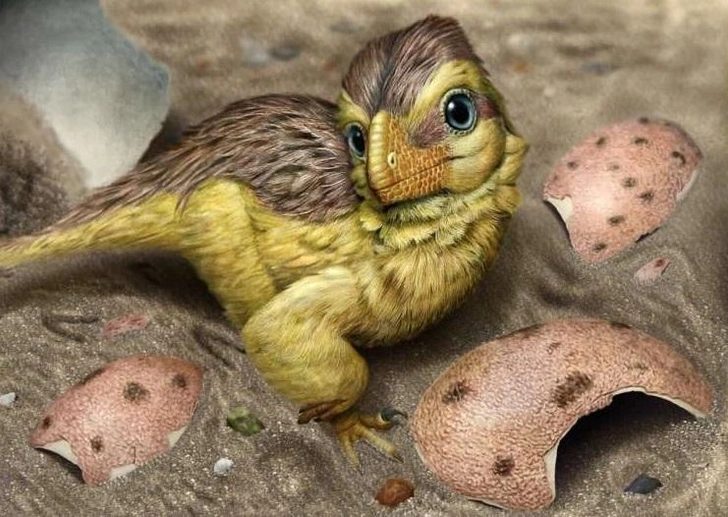 Скорлупа яиц динозавров изменит взгляд на глубокое прошлое: она поможет определить возраст всех окаменелостей