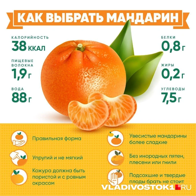 Источник: Елена Буйвол / VLADIVOSTOK1.RU