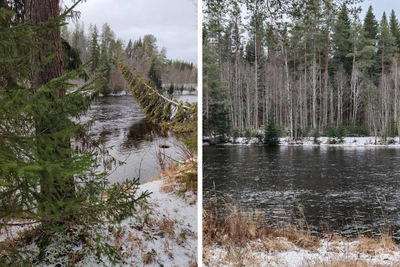 Российский ученый выступил против переброса воды из Северной Двины