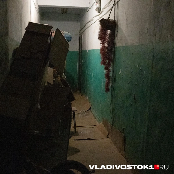 Источник: Елена Буйвол / VLADIVOSTOK1.RU