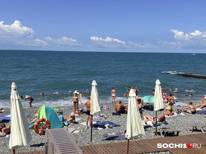 Голые дети на пляжах многих раздражают  | Источник: Анна Грицевич / SOCHI1.RU