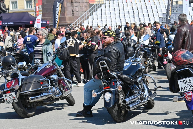 Источник: Елена Буйвол / VLADIVOSTOK1.RU