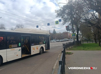 Некоторые пассажиры автобусов идут к переходу от остановки прямо по проезжей части, чтобы не обходить забор | Источник: Алёна Воропаева / Voronezh1.ru