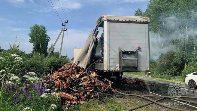 Фура со сгоревшим грузом около деревни Шадрино | Источник: МЧС по Нижегородской области