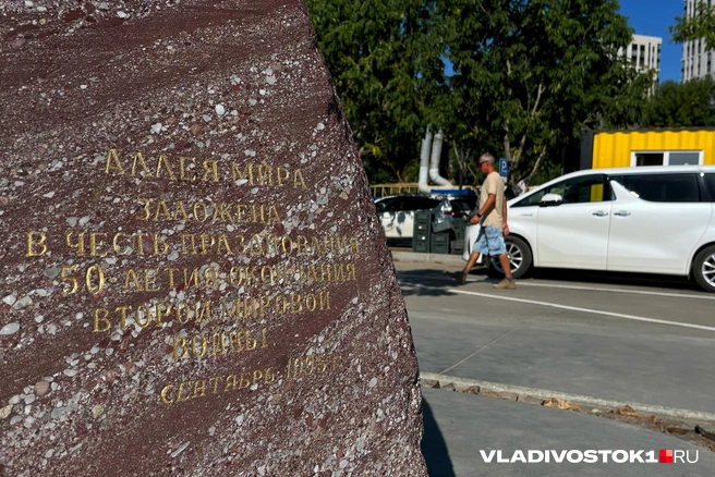 Источник: Елена Буйвол / VLADIVOSTOK1.RU