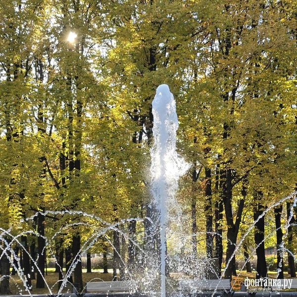 Источник: читательница «Фонтанки» Елена