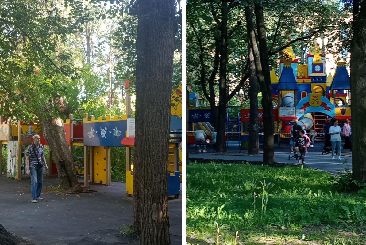 В пермском парке им. Горького дерево упало на детскую площадку «Сказочное королевство»
