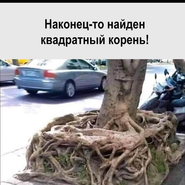 Источник: соцсеть