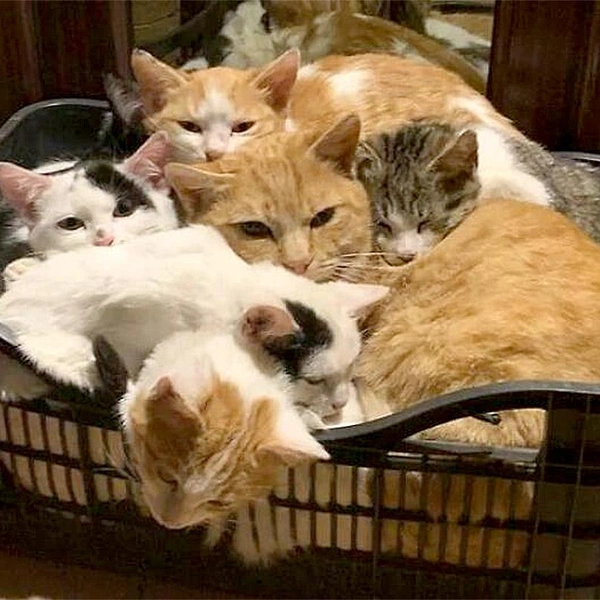 Источник: соцсеть